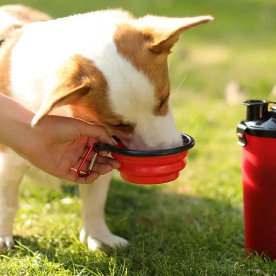 Dog Travel Water Bottle Bowls 2 in 1 Pet Food Container with Collapsible Portable Dog Food Bowl Outdoor Water Bowls for Pet Cat
