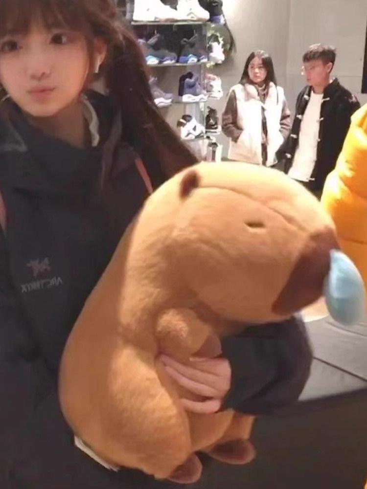 Capybara Sleepy Plush Hug Pillow - Birthday Gift for Girlfriend