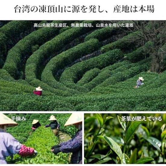 Xi Kei Taiwan Tea Oolong Dong Ding Organic Cultivation High Mountain 150g Jin Xuan Grown Leaves 100 Healthy No Additives Chinese