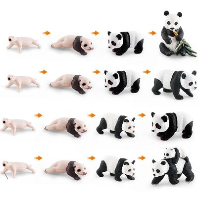 Children'S Cognition National Treasure Panda Growth Cycle Simulation Animal Panda Bear Growth Process Static Ornament Model Toy