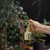 Ergonomische Rostfreie Edelstahl Mini-Gießkanne Geeignet für müheloses Gießen in kleinen Räumen Innen- und Außenbereich