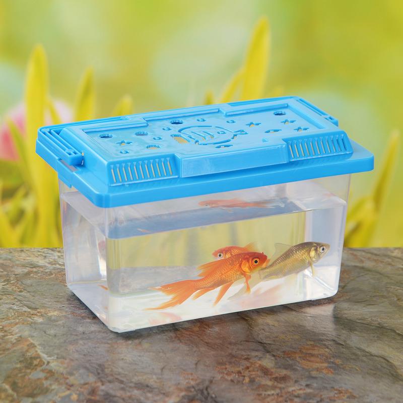 Transparent Portable Fish Tank for Small Pets - Goldfish, Turtles, Reptiles, and More