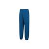 Nike Nsw Swoosh Woven Pants With Zip Pockets Men Bottoms Blue AJ2300-474