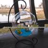 2016 Micro Landscape Hanging Glass Vase: Transparent Iron Frame for Ecological Weddings