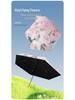 Kompakter UPF50+ Sonn- und Regenschirm für Damen - Mini Flach, 6-fach faltbar, Taschenformat, UV-Schutz, Ideal für Studenten.