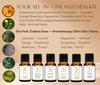 Aadi Mool Essential Oils Combo Pack of 6 (15ml Each) | Orange, Peppermint, Rosemary, Eucalyptus, Tea Tree & Lavender Oil | Essential Oil for Arom