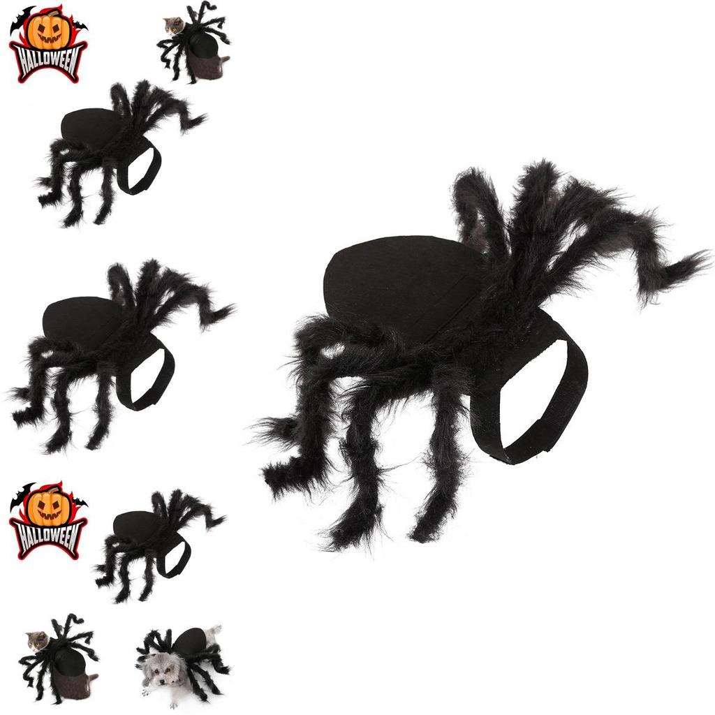Cute And Funny Pet Spider Costume For Halloween