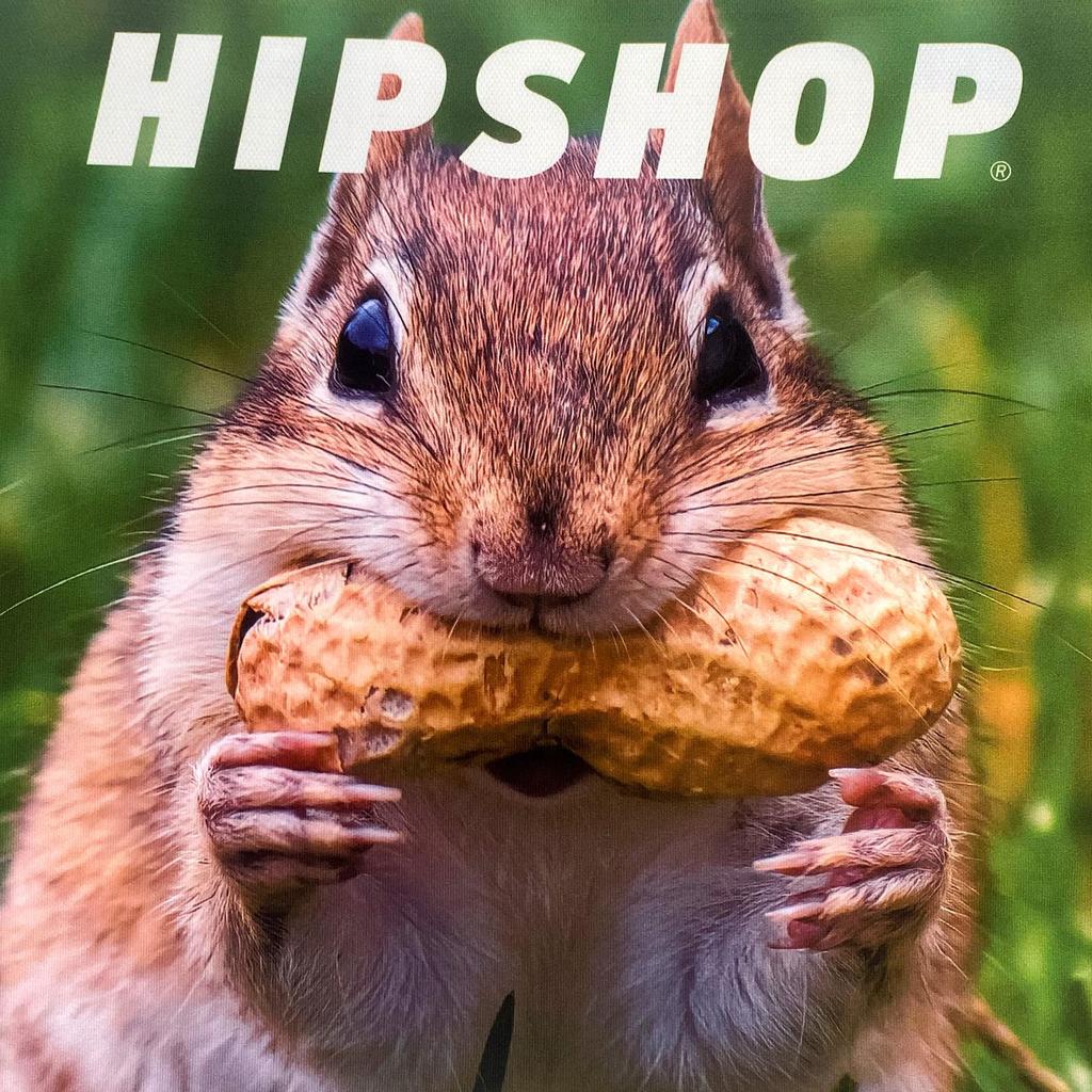 ANIMAL (Chipmunk) Men's Polyester Boxer Briefs, HIPSHOP HF4241A126