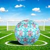 1pc Sea Turtle Flowers Theme Soccer Ball Football, Size 5, Lightweight PVC, Outdoor Training Soccer Ball,Gift J61413