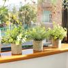 3pcs Potted Artificial Plant Fake Green Grass Leaves Artificial Simulation Plants Sets for Home