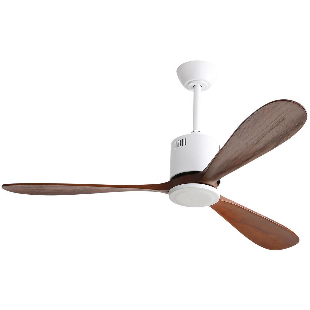European Minimalist 52-inch Variable Frequency Ceiling Fan Light for Living Room & Dining Area