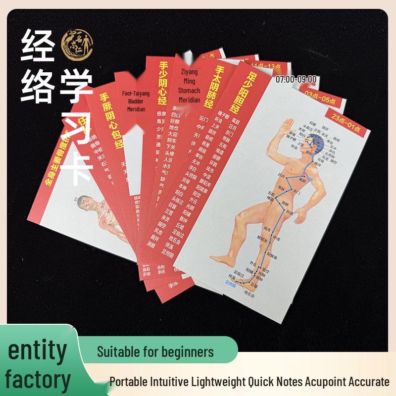 TCM Human Acupuncture Points Chart: Twelve Meridians Diagram & Quick Reference Card 10x14 cm