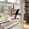 Detachable Parrot Parrot Perch Natural Bird Stand Perch  For Parakeet Budgie Cockatoos