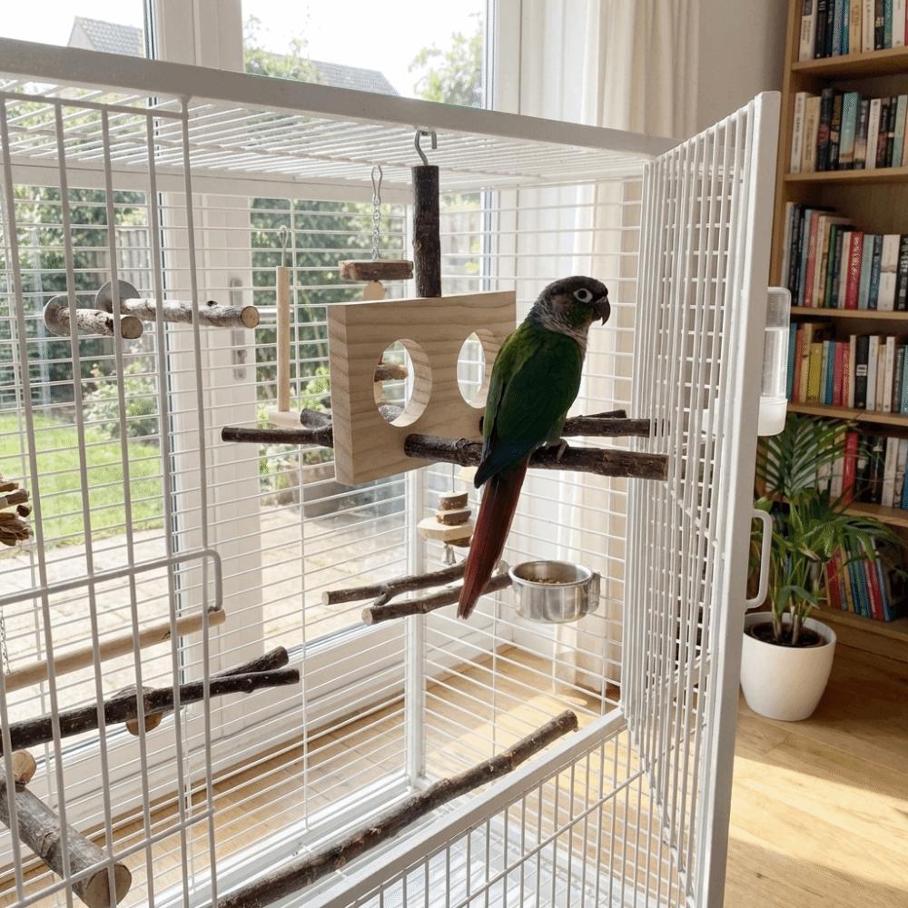 Detachable Parrot Parrot Perch Natural Bird Stand Perch For Parakeet Budgie Cockatoos