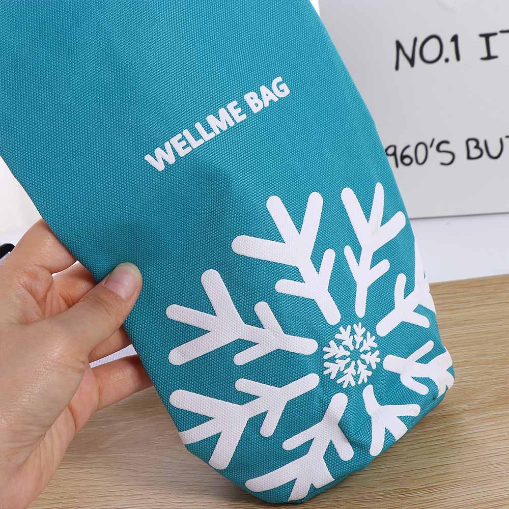 Pouch Outdoor Camping High Capacity Insulated Cooler Bag Water Bottle Bag Tote Bag Cooler Bags