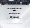Professional KTV Microphone Feedback Suppressor & Compressor with Frequency Shifter