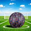 1pc Dog Garden Durable Size 5 Soccer Ball Professional Match Training Football Indoor &Outdoor Sports Ball P60122