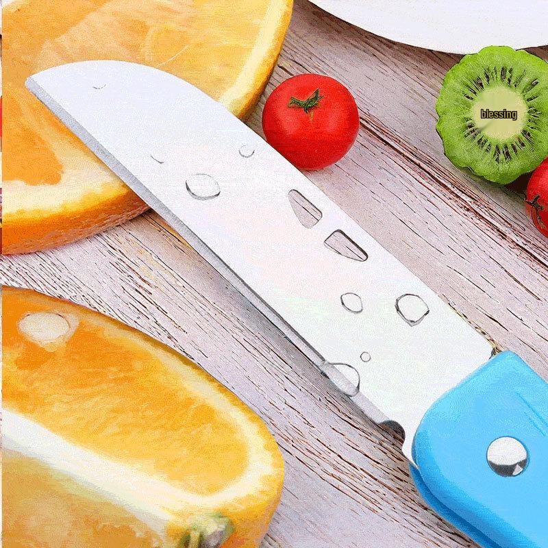 ZISIZ Foldable Stainless Steel Fruit Knife & Peeler