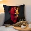 Cushion Cover  Linen  SkinFriendly Soft Decorative Case for Sofa Home Decor Charlie Puth Pillow Cover
