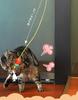 Electric Bite-Resistant Self-Playing Cat & Dog Teasing Toy Egg with Hanging Teaser Stick