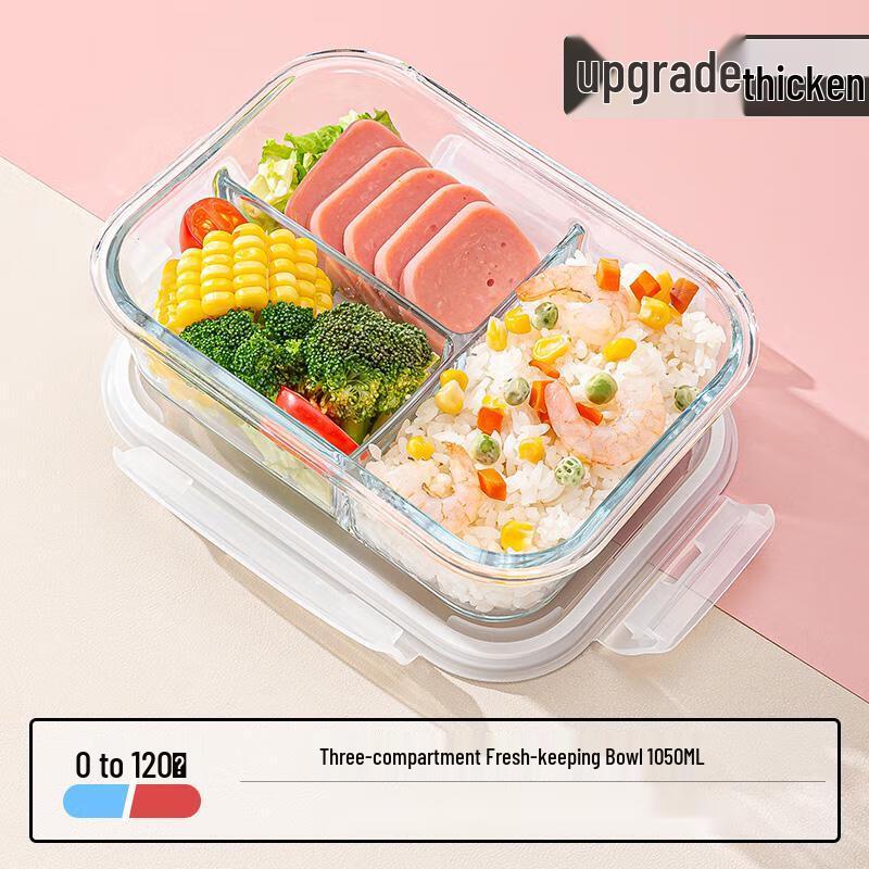 Glass Bento Lunch Box