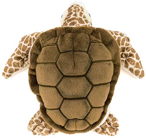Colorata Loggerhead Sea Turtle Plush Toy (S Size/Soft Touch) Realistic Turtle Marine Animal Toy Doll Gift Present Birthday (Twice Checked) / Christmas