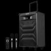 Edifier PW312S Portable Bluetooth Karaoke Speaker (CN Version)