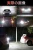 T20 LED Back Lamp, T20 LED, Single T20 Pinch Section, LED Turn Signal, High