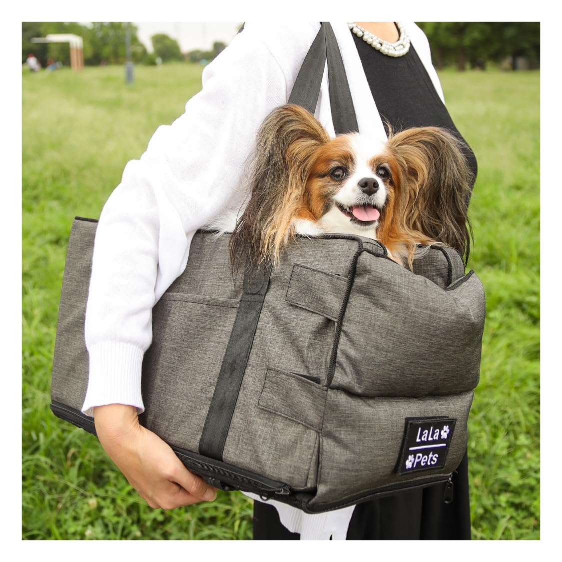 

in dog magazines and supervised by Carrier Box with for Small Dogs No [Featured veterinarians] [LaLa-Pets] Base, (Gray, Lid) серый