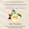 Zhuolanya Ginger Scalp Care Essence