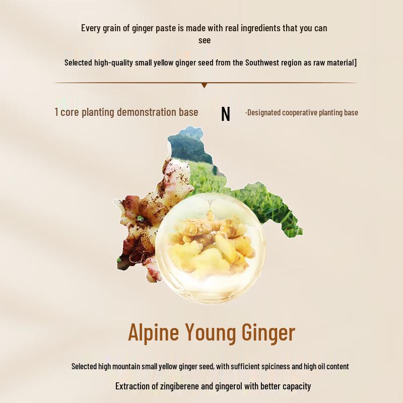 Zhuolanya Ginger Scalp Care Essence
