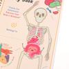 Creative Human Anatomy Busy Book Children'S Fun Learning Picture Album With Illustration Learning Planner