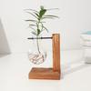Plant Propagation Station with 1/2 Glass Vases And Wood Stand Decorative Tabletop Terrarium Planter Clear Glass Hydroponic Vase for Office Garden Home