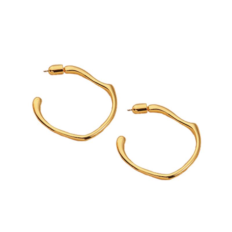 Chic Retro Irregular Earrings: High-End Silver Needle for Versatile Style