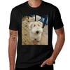 Hilarious Looking Dog Borotan Tshirt Work Outdoor Tshirt For Unisex