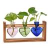 Plant Propagation Station Glass Vase with Wooden Frame Hydroponic Plant Terrarium Kit Love Bulb Vase for Indoor Plants Desktop Decor