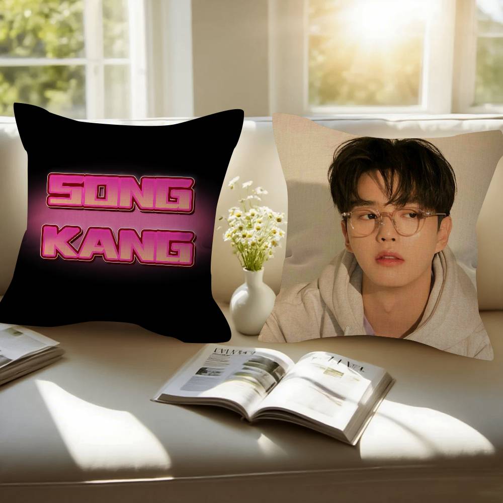 Kpop Actor Hot SSong Kang Pillow Gift Home Office Decoration Bedroom Sofa Car Cushion Cover case 45x45