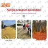 Zhongxun Multi-purpose Garden Rake