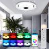 220V Music Led Ceiling Light Lamp RGB Flush Mount Round Music APP Bluetooth Speaker Smart Ceiling Lamp with Remote