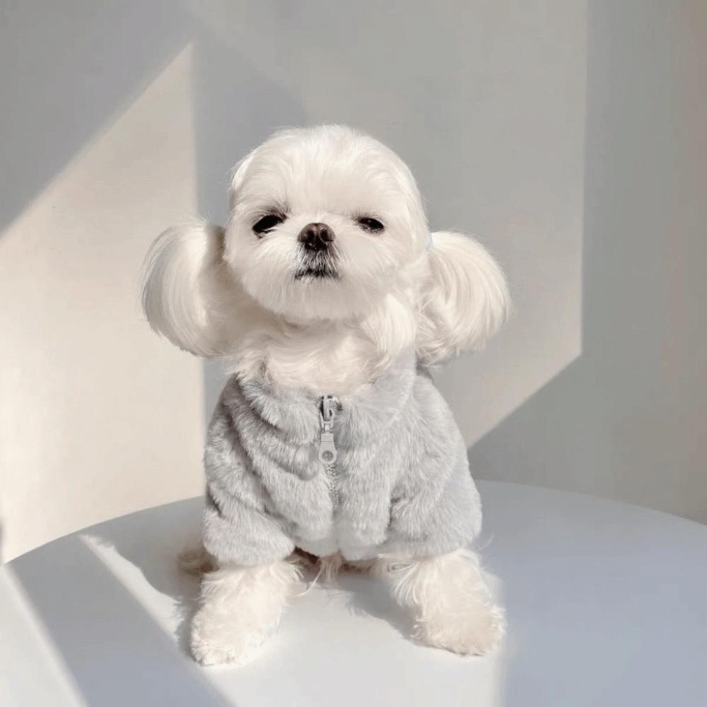 Ins Style Rabbit Fur Dog Warm Coat Thickened Soft Winter Dog Clothes Comfortable Dog Costume Walking