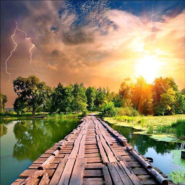 5D DIY Diamond Painting Scenery Series Full Circle Diamond Embroidery Animal Cross Stitch