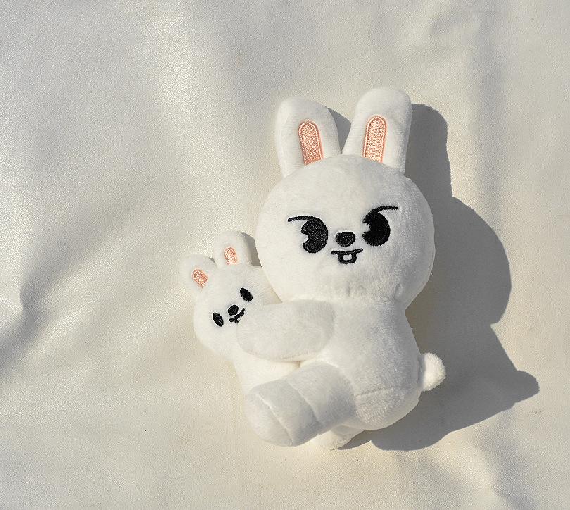 Skzoo  Has Launched A Latest Magnetic Magnet Doll In Various Sizes, Featuring The Same Style As The Celebrity Merchandise