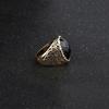 Mode Totem Gesneden Mannen Vingerring Ovaal Legering Feest Club Sieraden Verjaardagscadeau