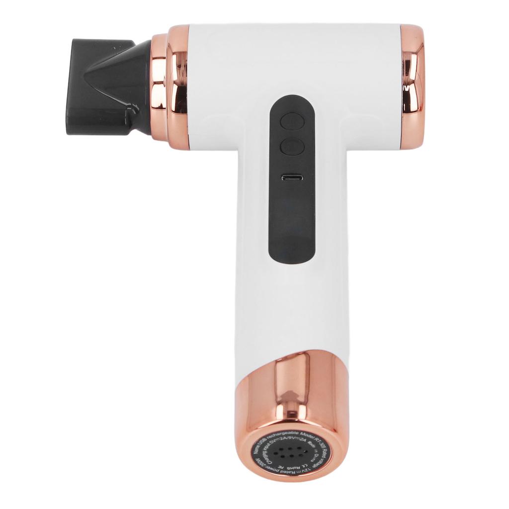 Hair Blow Dryer Wet and Dry Use 200W Powerful Hair Dryer Portable Multifunctional Pet Blow Dryer for Travel