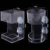 Transparent Suction Cup Fish Feeder Square/Circle Aquarium Feeding Ring  Aquarium