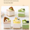 Pabei Disposable Square 9-Grid Mousse Dessert Cups