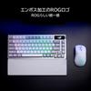 ASUS Ergonomic ROG Keyboard Wrist Rest AC10 Wrist Rest White Japanese Retailer (Official Product)