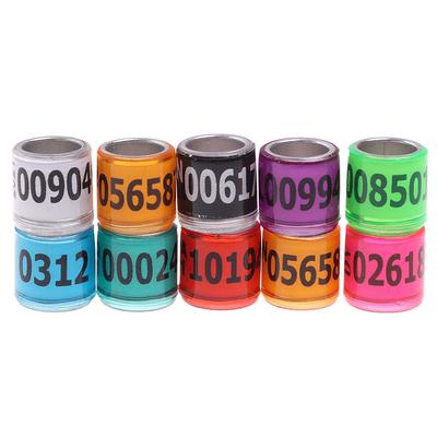 20 Pcs Pigeon Foot Ring With Word Earrings 2021 Multicolor Bird Tools