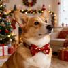 Fashionable Red Blue Bow Pet Collar Adjustable Cat Dog Christmas Birthday Accessory Gift