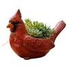 Versatile Resin Planter Box Light weight Resins Plant Container for Small Houseplants and Enhancing Interior Aesthetic 85AD